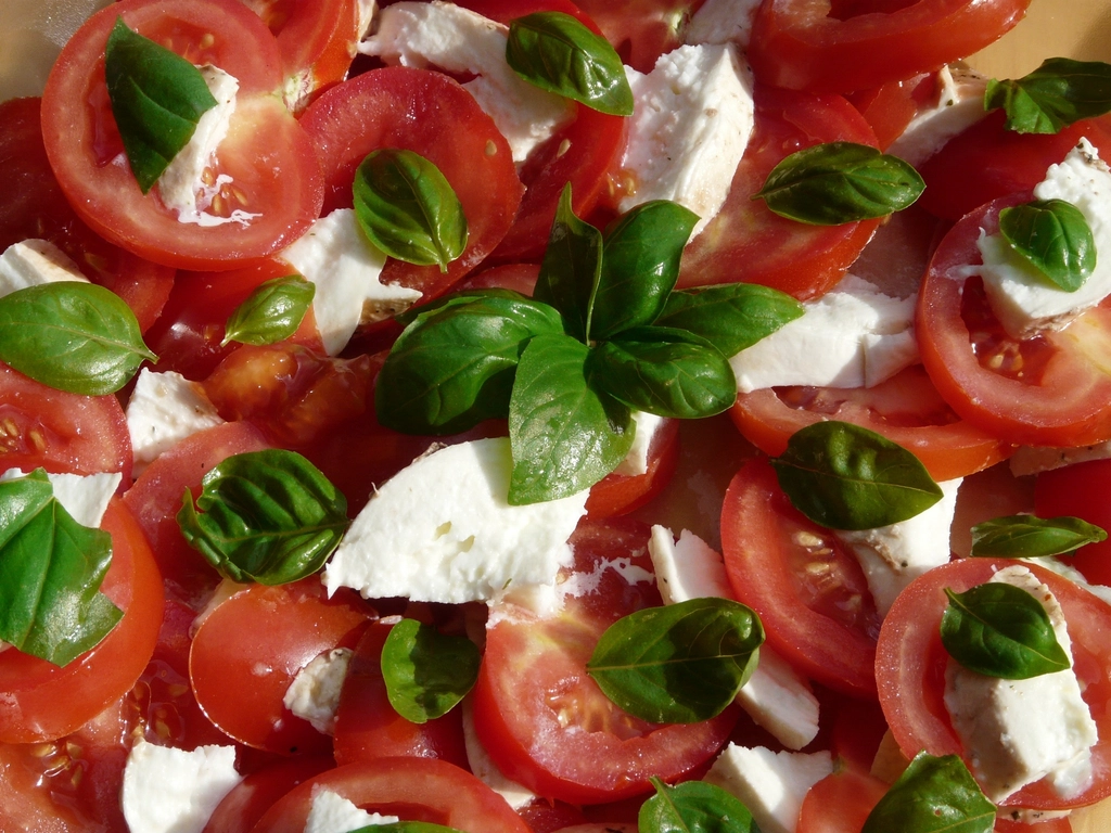 Free fresh mozzarella tomato image